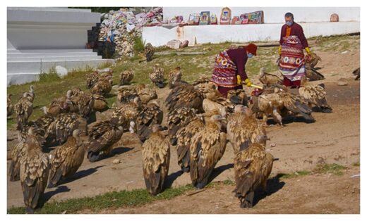 Sky burial