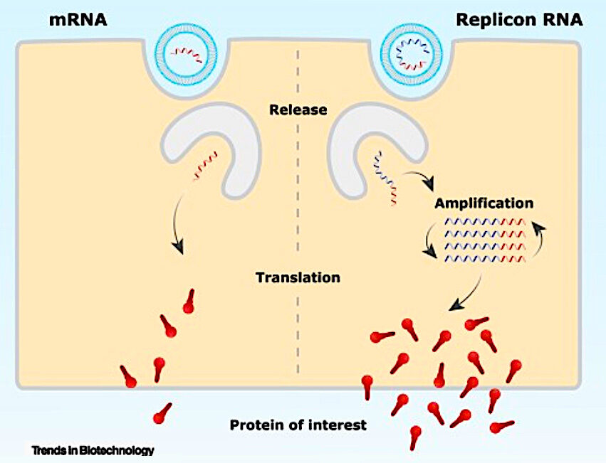 Click to enlarge schematic