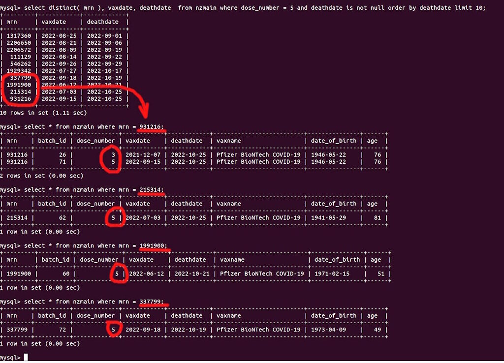 new zealand covid database leaked