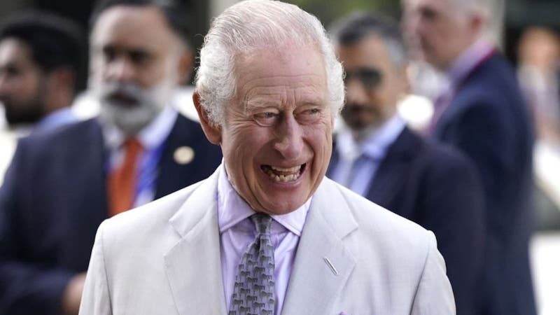 Click to enlarge King charles