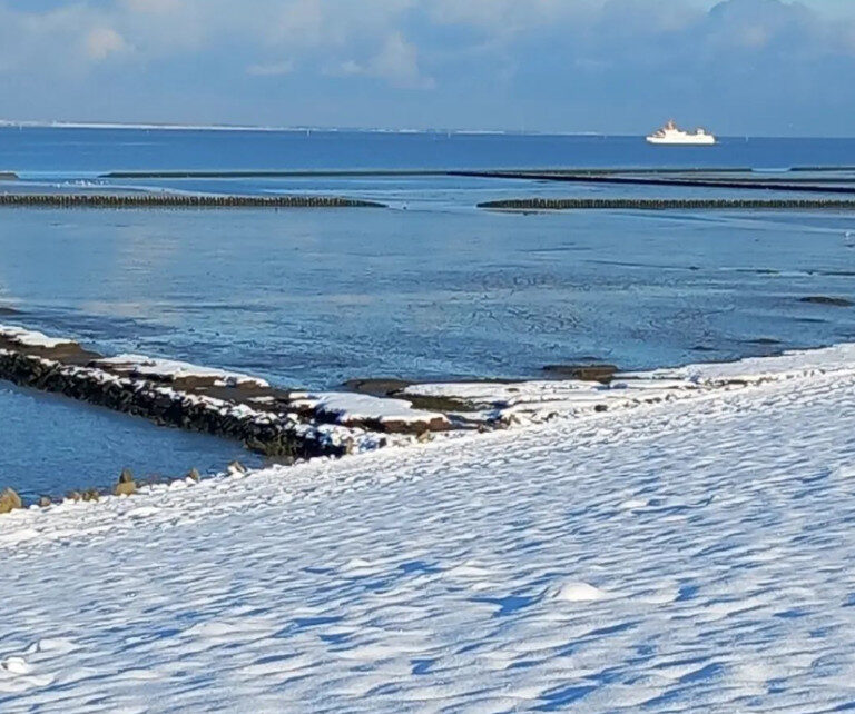 Early December snow