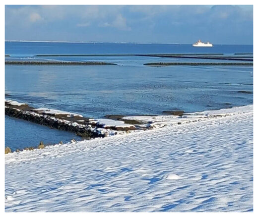 Early December snow