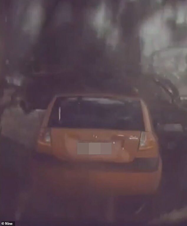 The car was smashed by the tree branches (pictured) after the tree was hit by a lightning strike