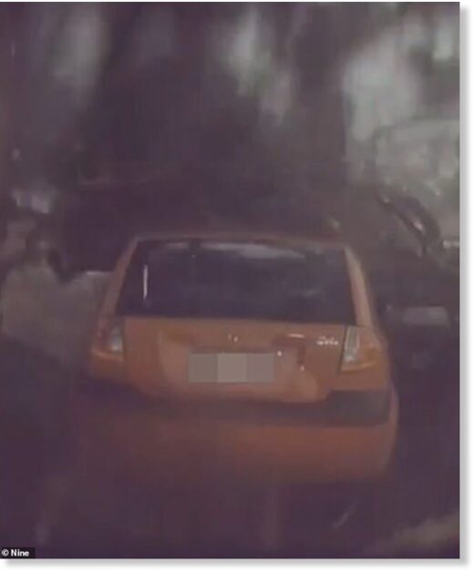 The car was smashed by the tree branches (pictured) after the tree was hit by a lightning strike