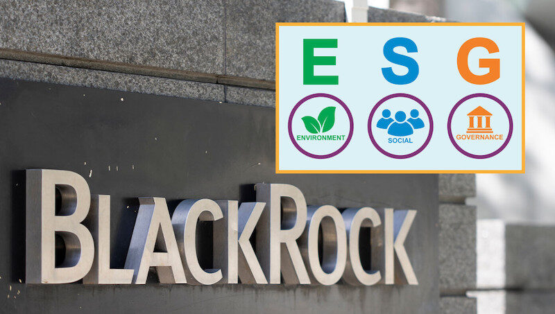 Click to enlarge Blackrock ESG