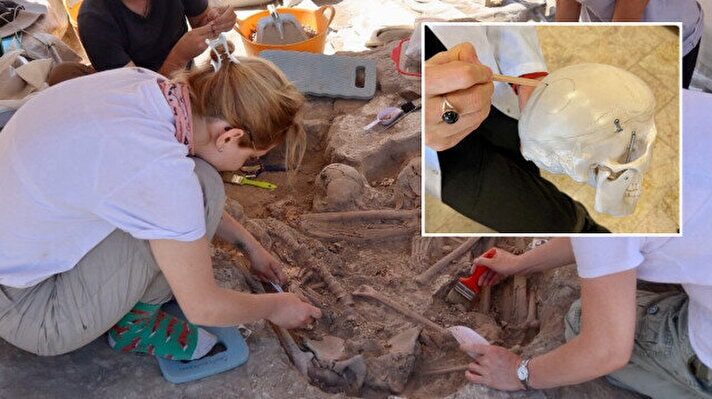 Click to enlarge Ancient Skull