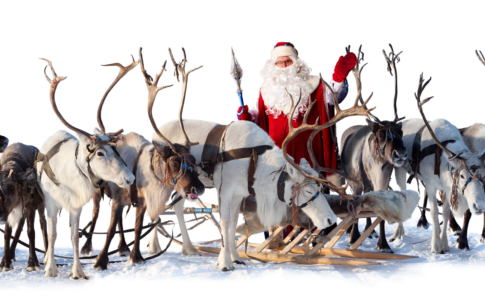 Santa with his Reindeers