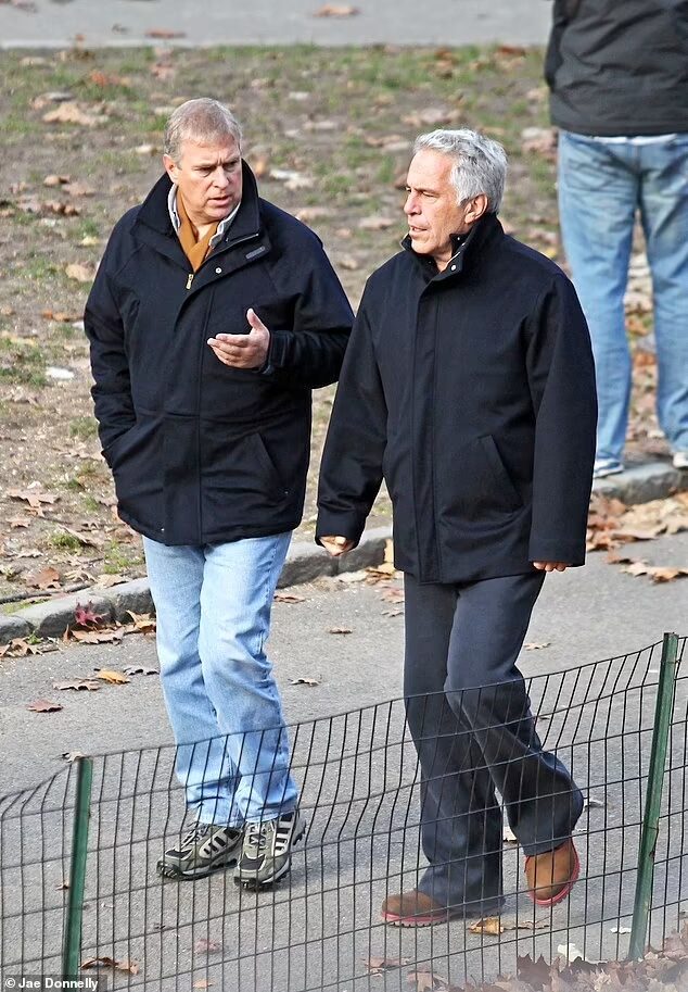 prince andrew jeffrey epstein