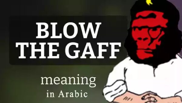 blow the gaff