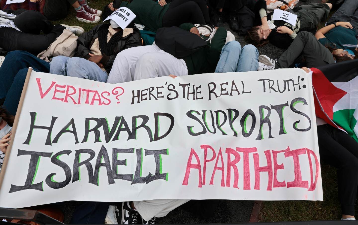 Click to enlarge pro palestinian protest harvard