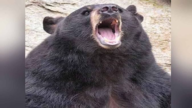 mmmmmm