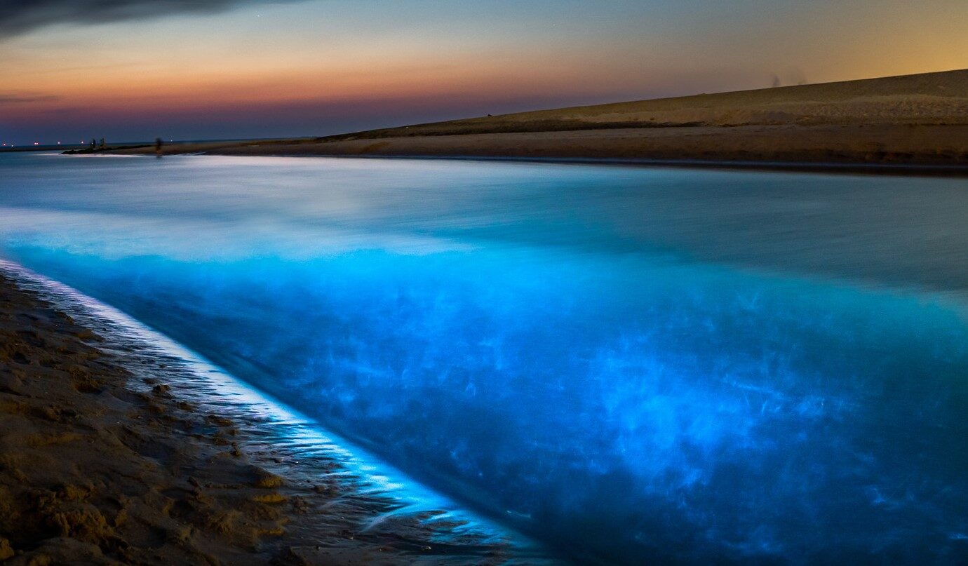 sea sparkle nl