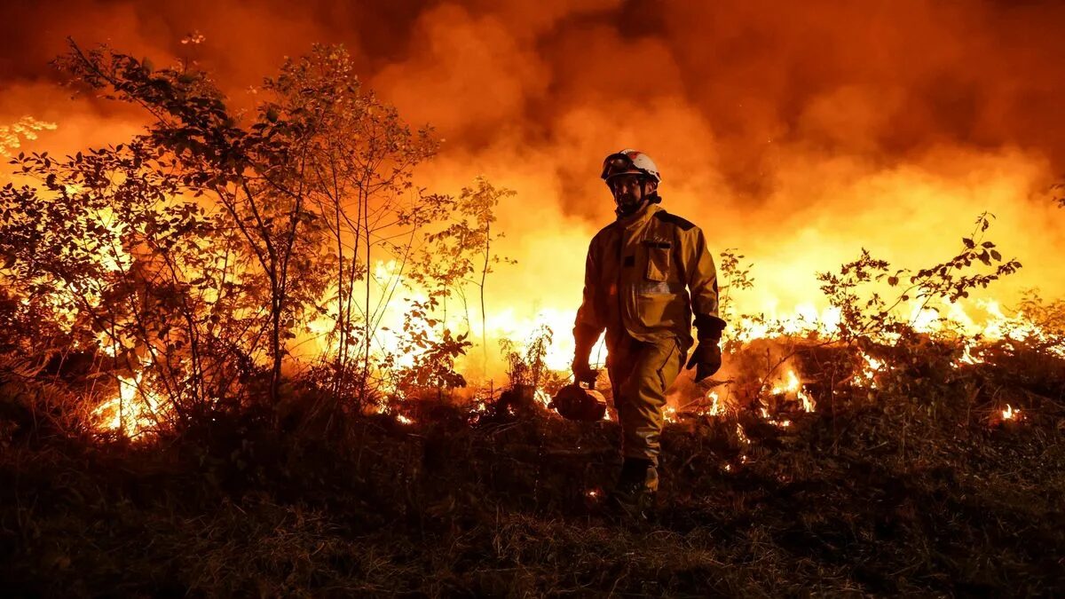 Arsonist