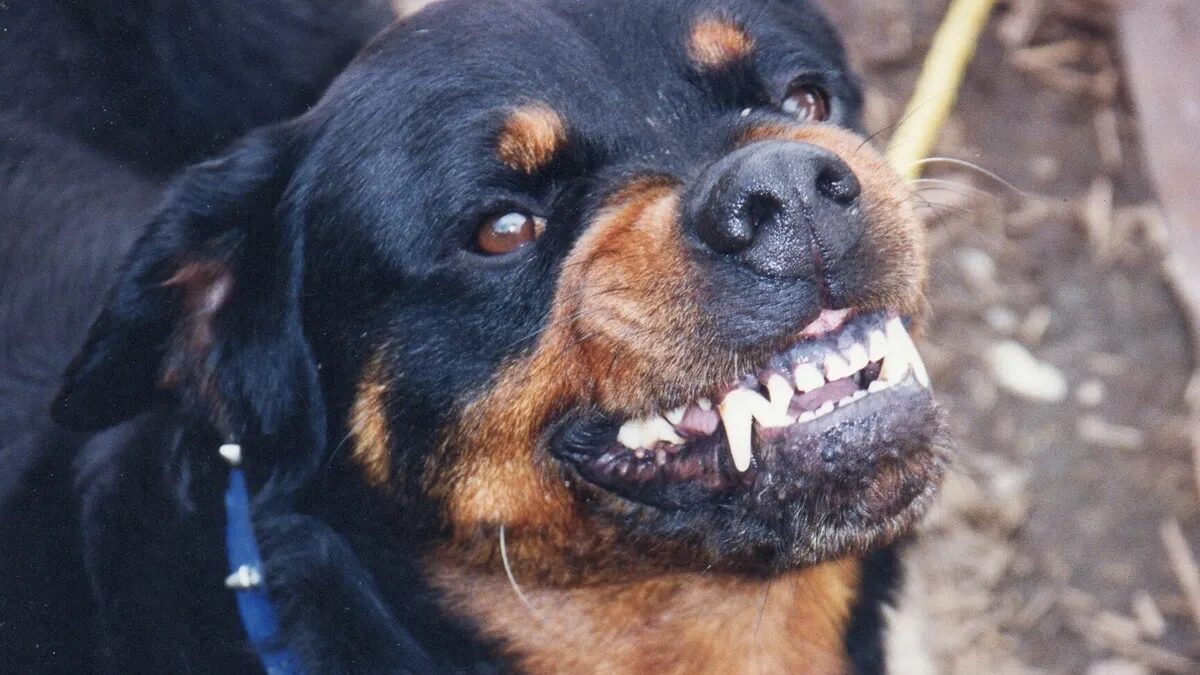 nnnnn