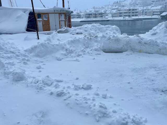Kristiansand was hit with literally tons of snow