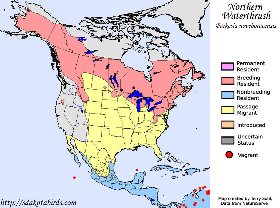 Northern Waterthrush Range Map