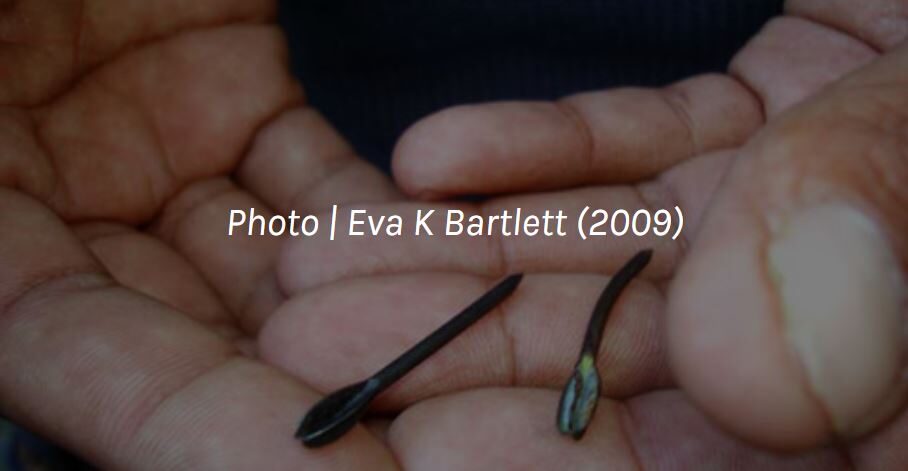 Israeli shell containing flechettes