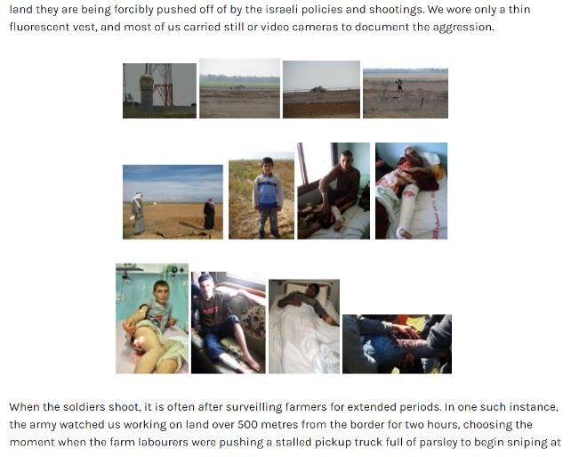 Eva Bartlett: War on Gaza