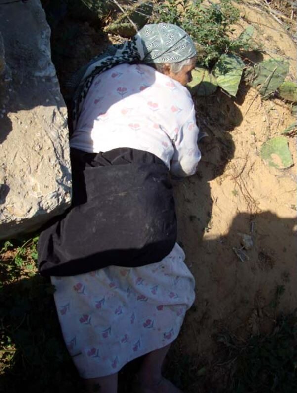 Elderly grandmothers in Gaza