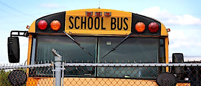 Click to enlarge schoolbus