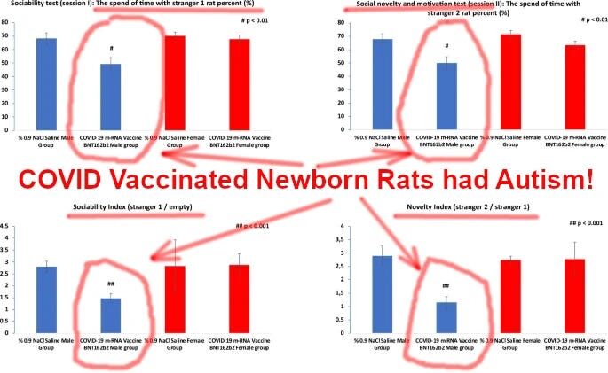 statistic part of the study