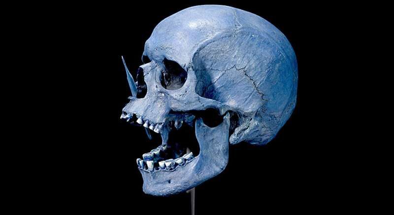 Porsmose skull