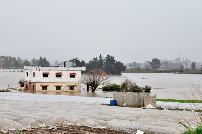Flooded fields in Akkar area of Tartus province, northwestern Syria.