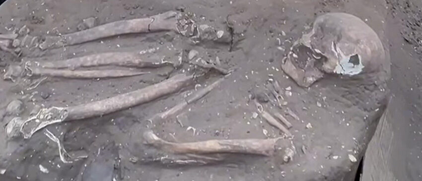 human skeleton