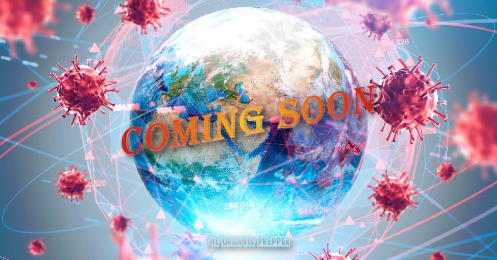 Click to enlarge coming soon
