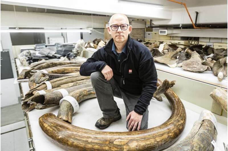 Click to enlarge mammoth