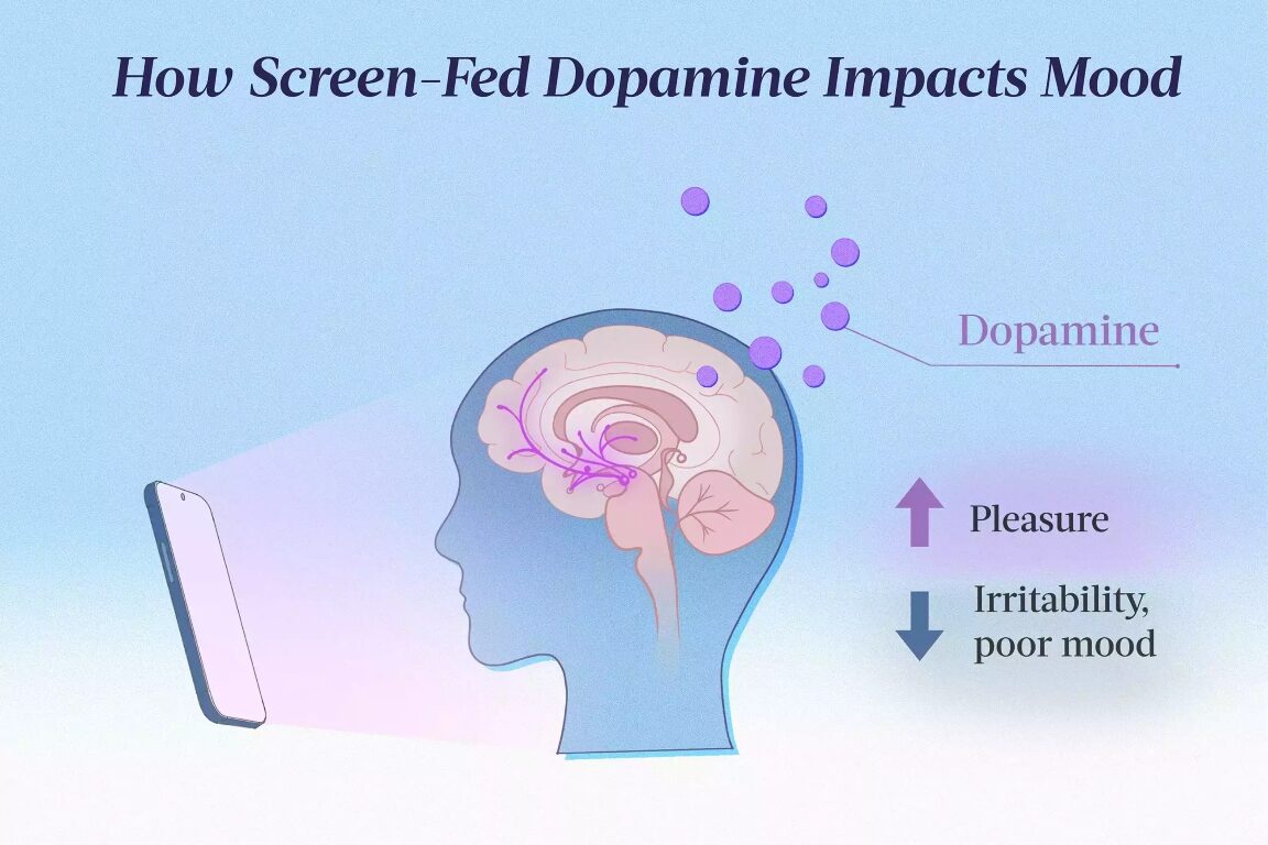 Click to enlarge screen use dopamine