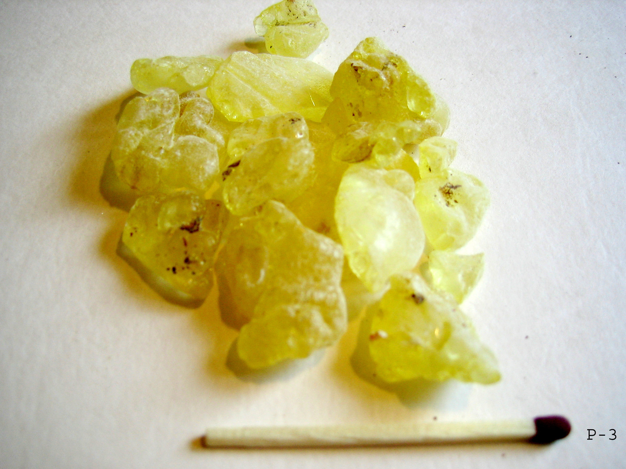 Mastic Gum