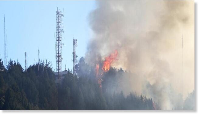 Firefighters were battling a blaze in a wooded, mountainous area east of Bogota.