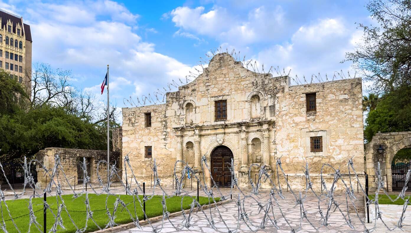 alamo razorwire white house satire