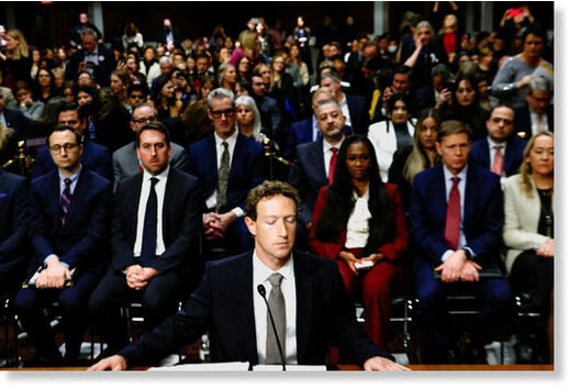 Click to enlarge facebook mark zuckerberg