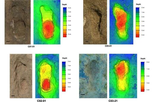 Click to enlarge human footprint