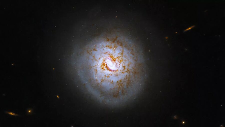 seyfert galaxy ESO 420-G013