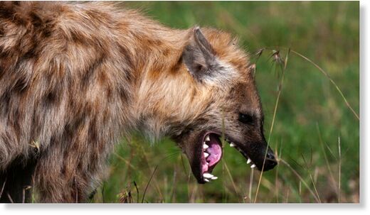 nnnnnnnnnn