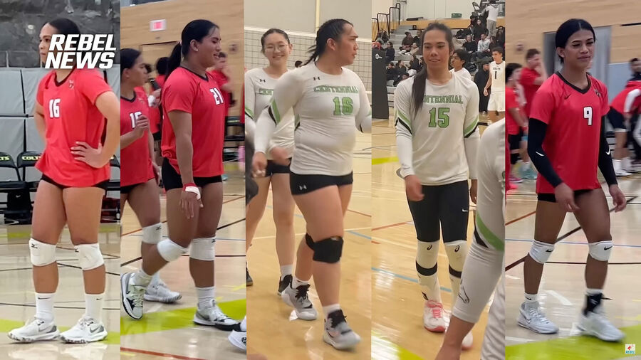trans women volleyball colleges