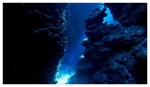 Underwater Canyon