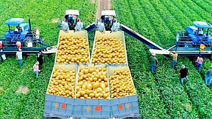 Click to enlarge farmers