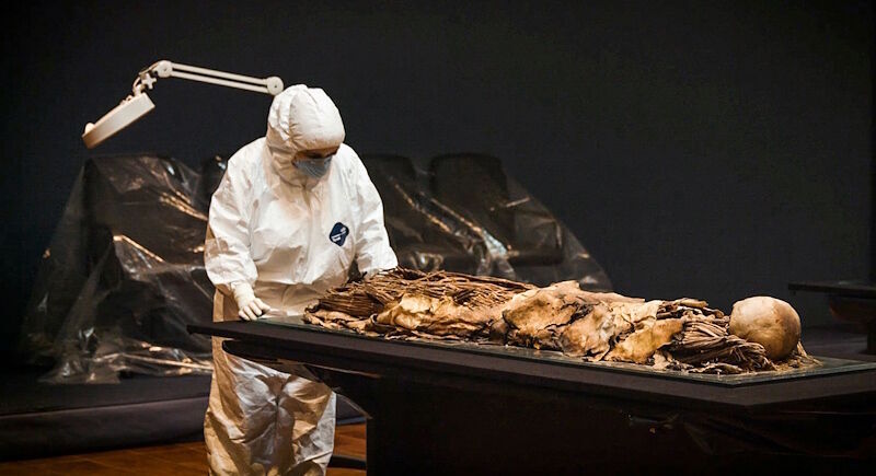 Click to enlarge genetic sampling ancient humans canary islands