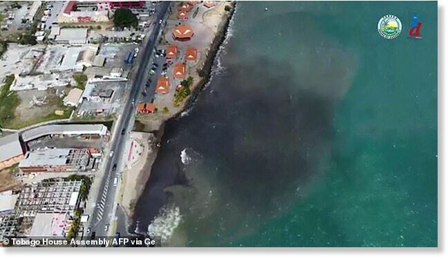 Click to enlarge sea tobago