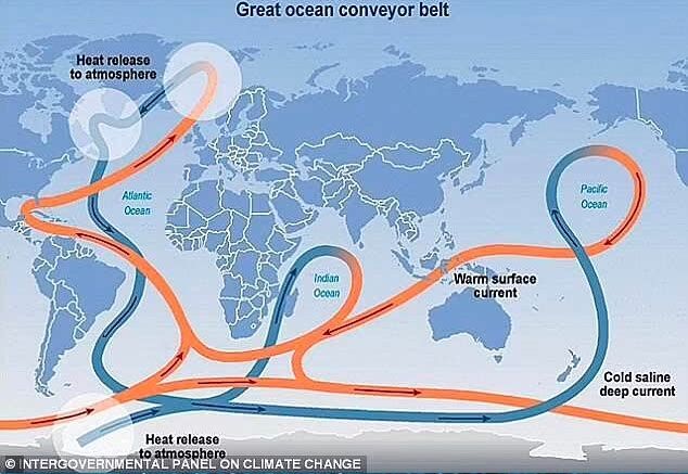 Click to enlarge conveyorbelt