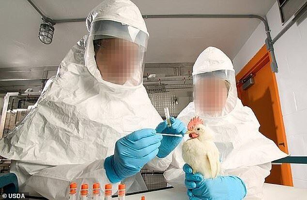 Click to enlarge bioweapon laboratory biolab bird flu