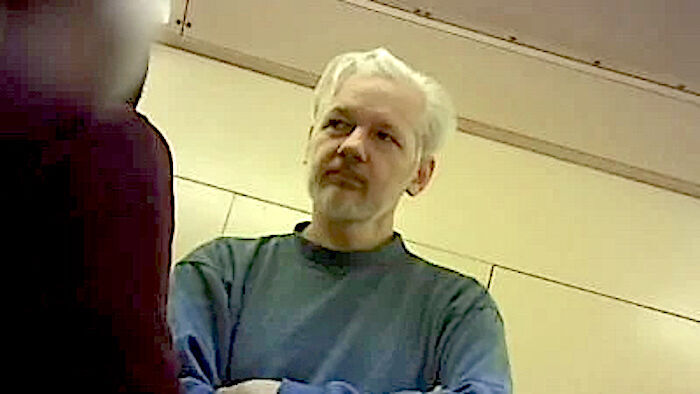 Click to enlarge Assange