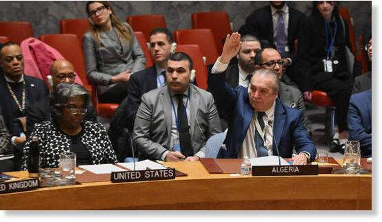 security council