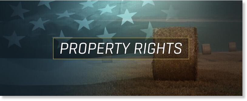 Click to enlarge property rights