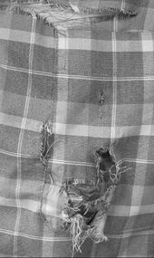 Click to enlarge torn coat biden dog attack