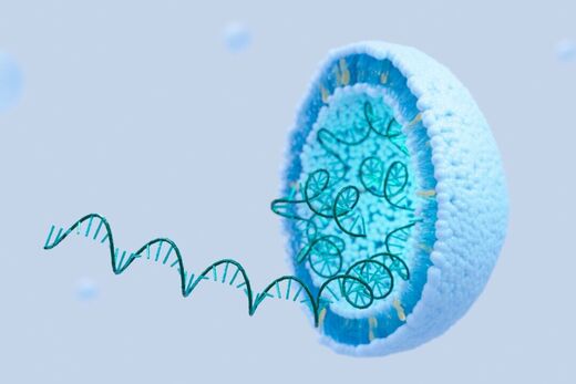 COVID Vaccine mRNA Can 'Spread Systemically' to Placenta and Infants of Women Vaccinated During Pregnancy COVID Vaccine mRNA Can 'Spread Systemically' to Placenta and Infants of Women Vaccinated During Pregnancy